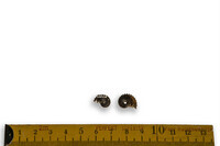 F 02099
<br/>
<br/>
<em></em>